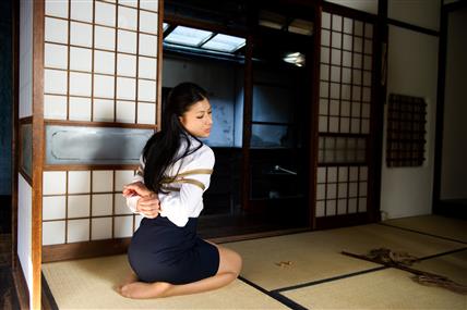 Hot Sadomasochism JAV Sex